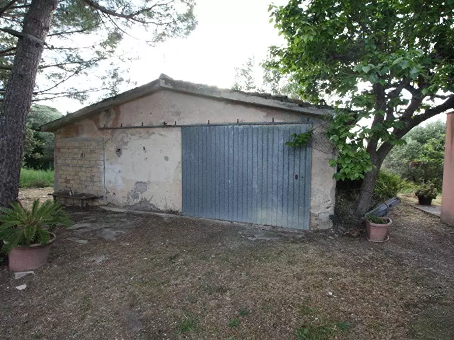 Immagine 22 di Rustico / casale in vendita  in VALLE CECCHINA a Monsampolo Del Tronto