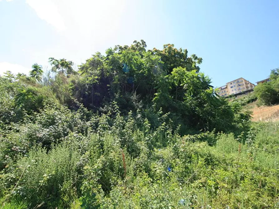 Immagine 21 di Rustico / casale in vendita  in contrada acquarola a Ripatransone