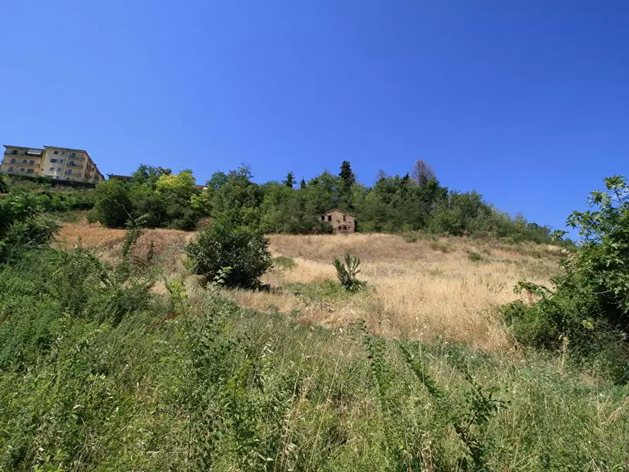Immagine 22 di Rustico / casale in vendita  in contrada acquarola a Ripatransone