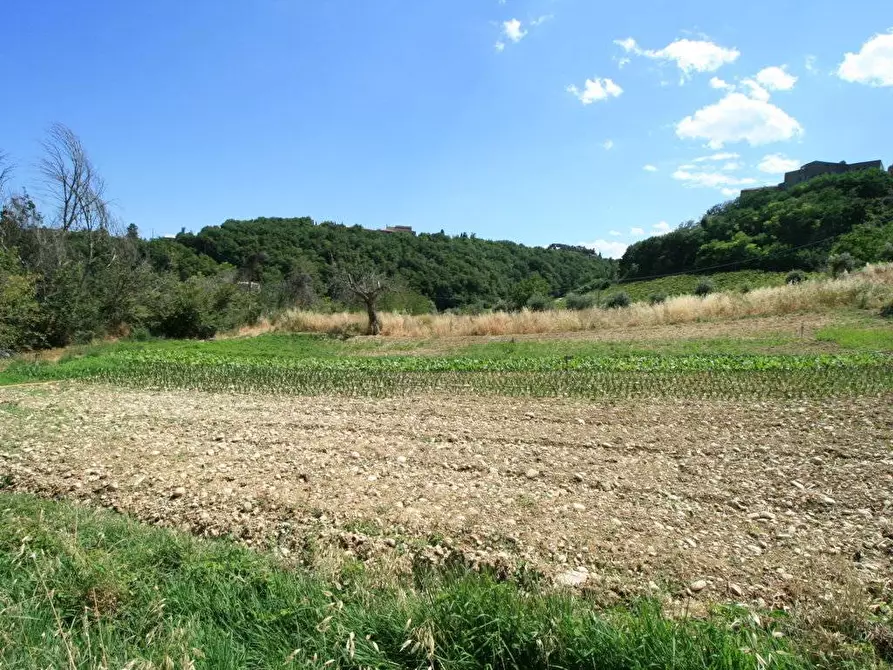 Immagine 23 di Rustico / casale in vendita  in contrada acquarola a Ripatransone