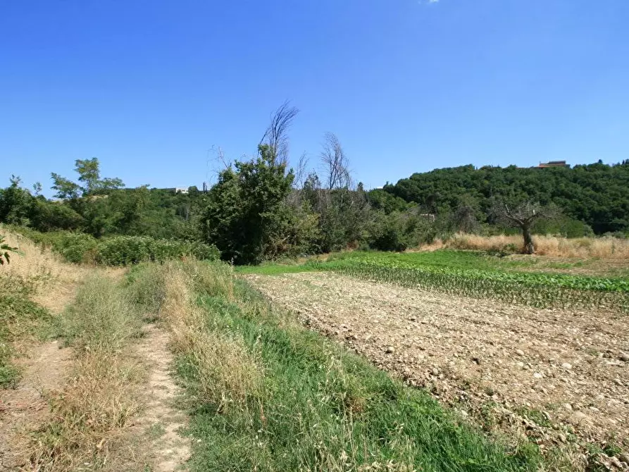 Immagine 24 di Rustico / casale in vendita  in contrada acquarola a Ripatransone