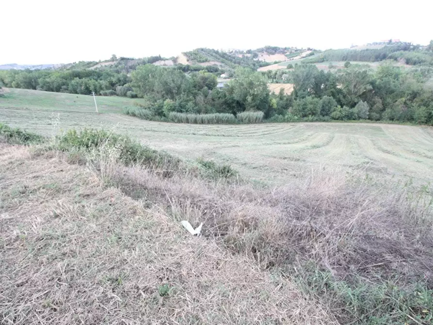 Immagine 5 di Rustico / casale in vendita  in via Piediprato a Spinetoli