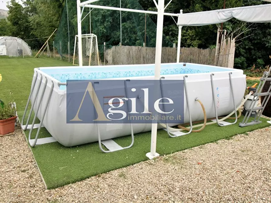 Immagine 4 di Terreno agricolo in vendita  in Contrada Casale Inferiore a Colli Del Tronto