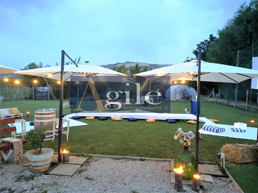 Immagine 3 di Terreno agricolo in vendita  in Contrada Casale Inferiore a Colli Del Tronto