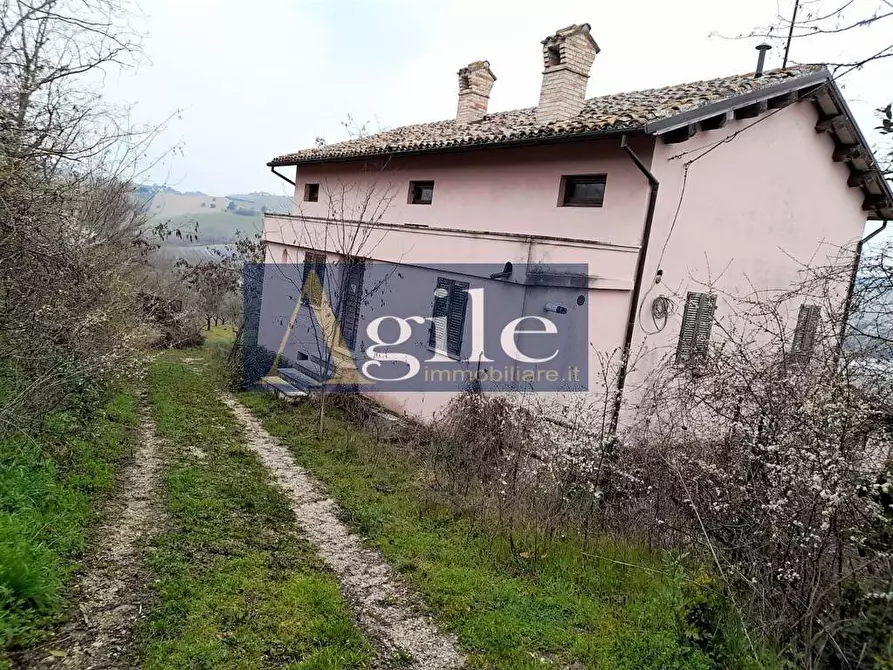 Immagine 1 di Casa indipendente in vendita  in VIA TESINO a Offida