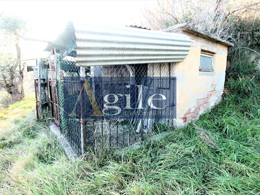 Immagine 4 di Casa indipendente in vendita  in Frazione Vallorano a Venarotta