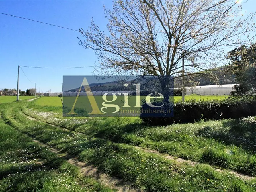 Immagine 19 di Casa indipendente in vendita  in VIA VAL D'ASO a Montefiore Dell'aso