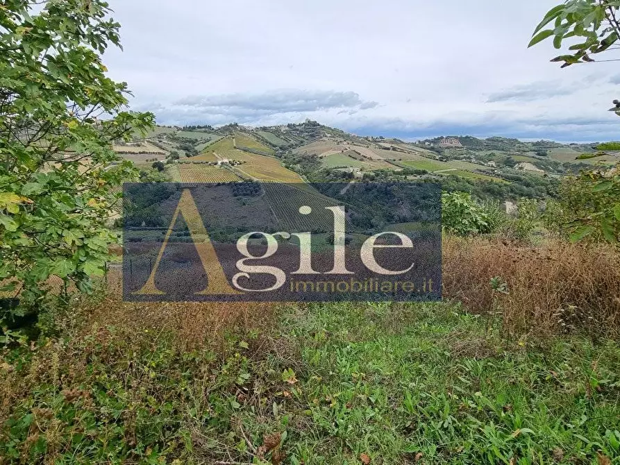 Immagine 1 di Terreno agricolo in vendita  in VIA COLLE APPESO a Monteprandone