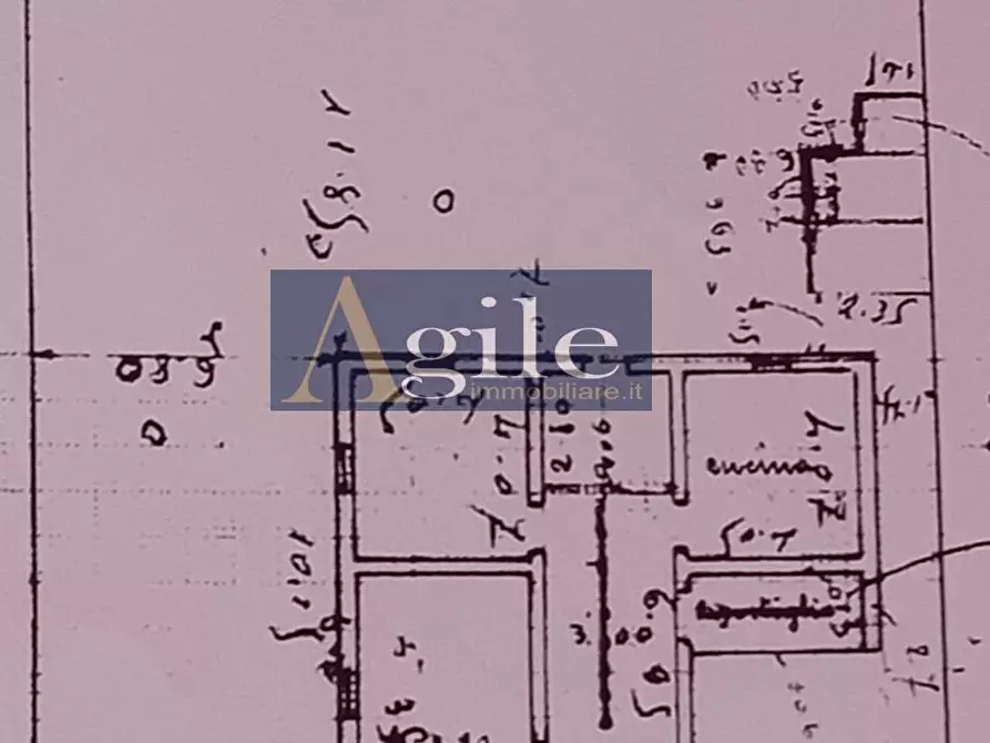 Immagine 23 di Casa indipendente in vendita  in VIA OBERDAN a Alba Adriatica