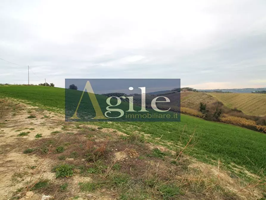 Immagine 6 di Rustico / casale in vendita  in contrada montetinello a Monteprandone