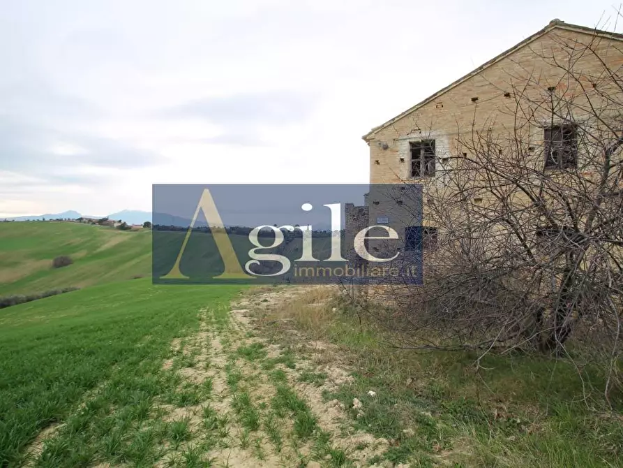 Immagine 10 di Rustico / casale in vendita  in contrada montetinello a Monteprandone