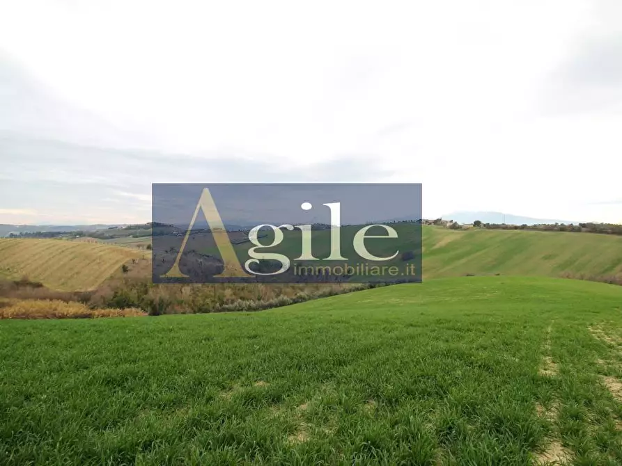 Immagine 11 di Rustico / casale in vendita  in contrada montetinello a Monteprandone