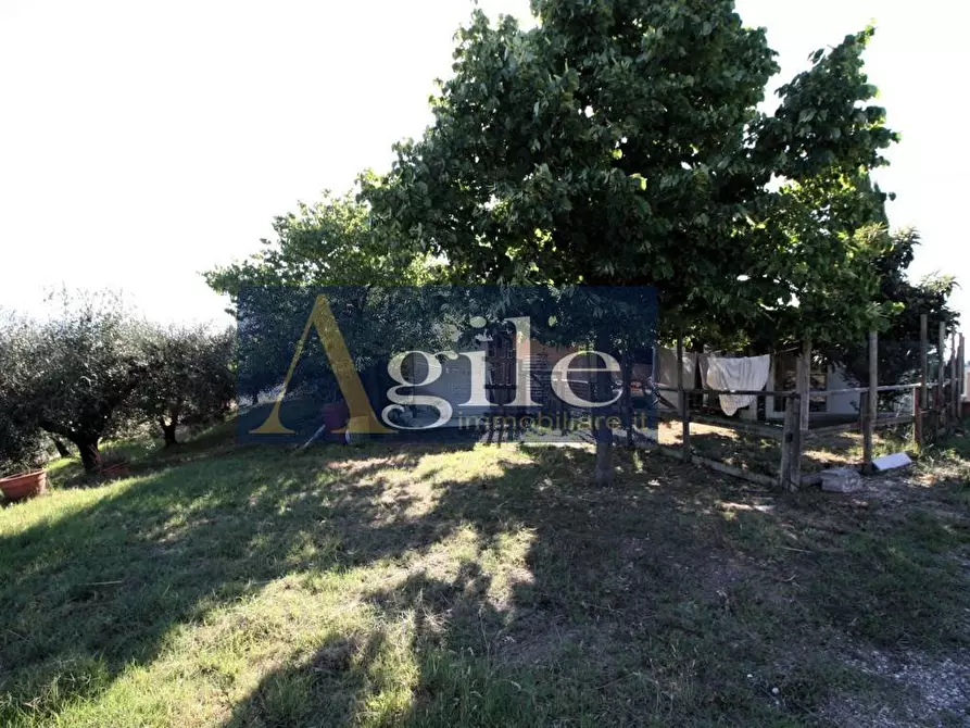 Immagine 26 di Villa in vendita  in CASTORANO a Castorano