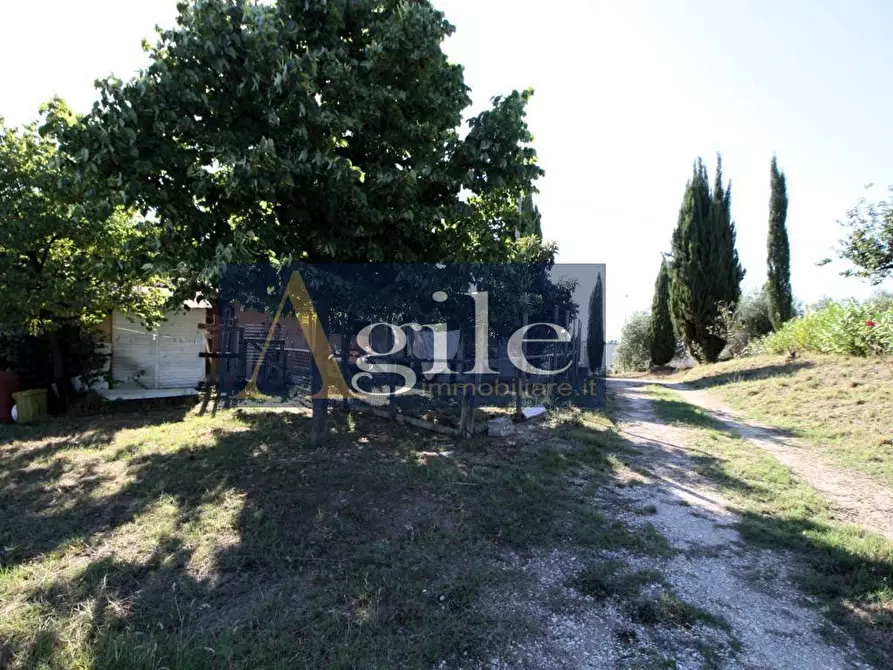 Immagine 24 di Villa in vendita  in CASTORANO a Castorano