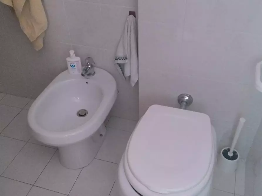 Immagine 9 di Appartamento in affitto  in Via Matteucci a Pisa