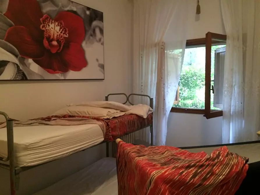 Immagine 8 di Casa indipendente in affitto  in Viale John Fitzgerald Kennedy a Viareggio