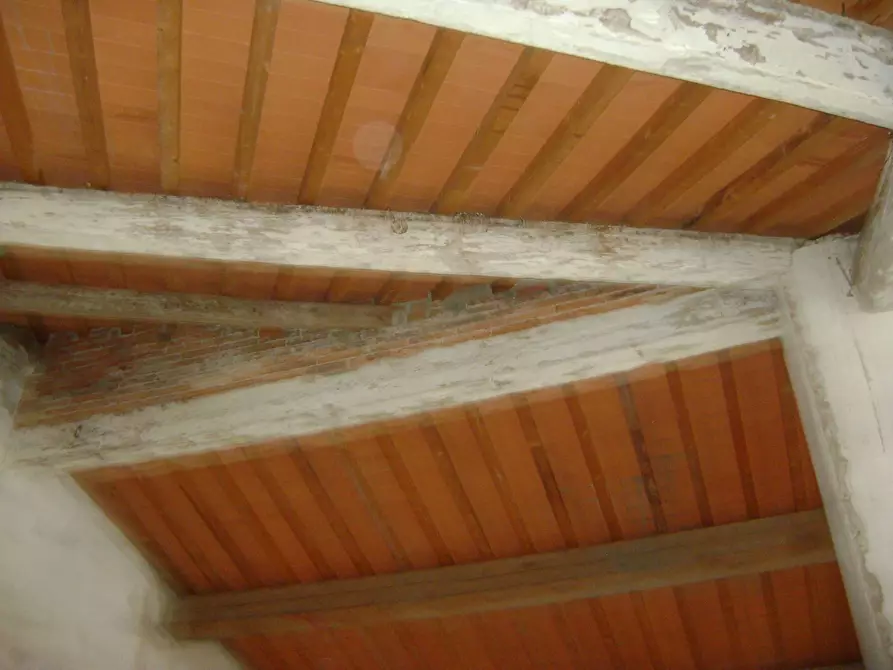 Immagine 5 di Attività commerciale in affitto  in Via Dei Pescatori a Livorno