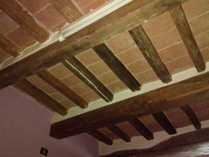 Immagine 6 di Attività commerciale in affitto  in via nazario sauro a Ponsacco