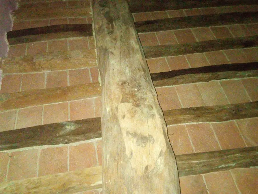 Immagine 7 di Attività commerciale in affitto  in via nazario sauro a Ponsacco