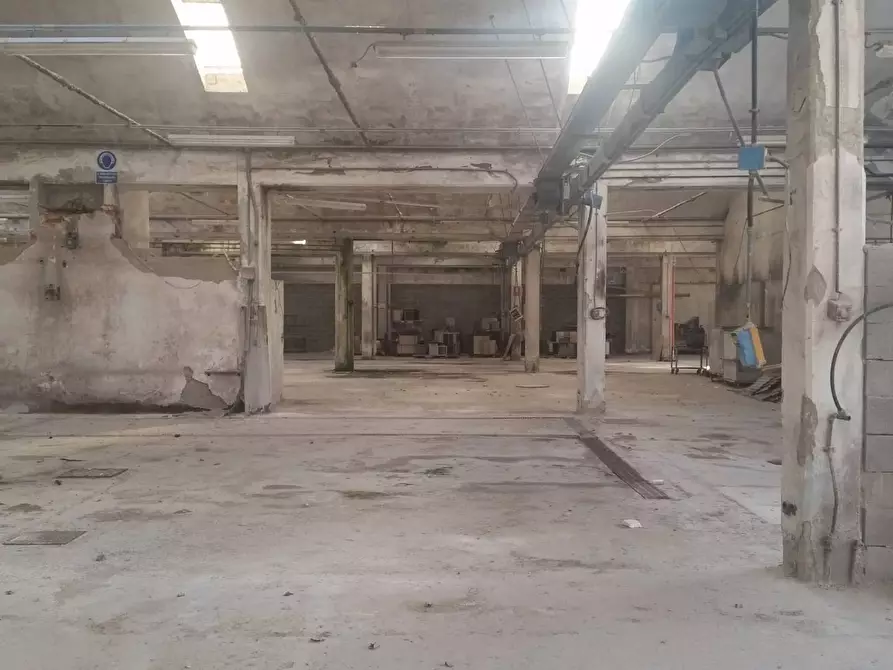 Immagine 3 di Capannone industriale in affitto  in via valdera a Ponsacco