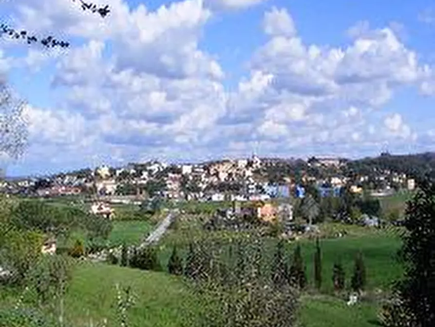 Immagine 6 di Attività commerciale in affitto  in Via Roma a Collesalvetti