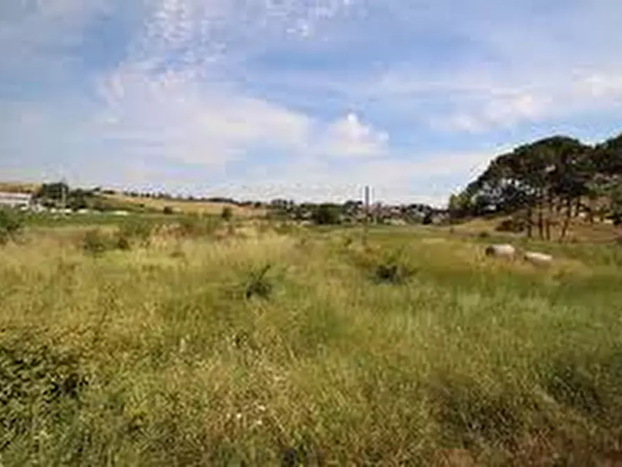 Immagine 9 di Attività commerciale in affitto  in Via Roma a Collesalvetti