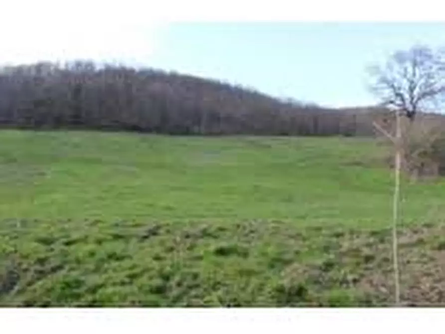 Immagine 11 di Attività commerciale in affitto  in Via Roma a Collesalvetti