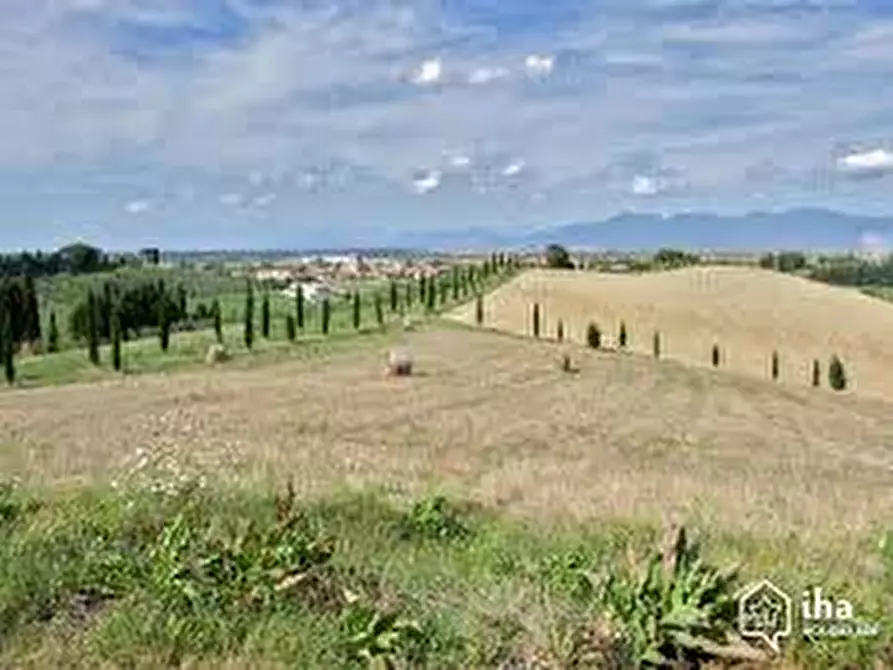 Immagine 12 di Attività commerciale in affitto  in Via Roma a Collesalvetti