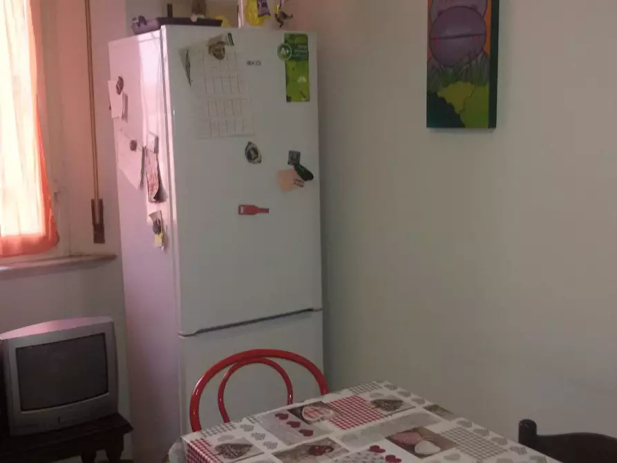 Immagine 5 di Camera in affitto  in Via Francesco Niosi a Pisa