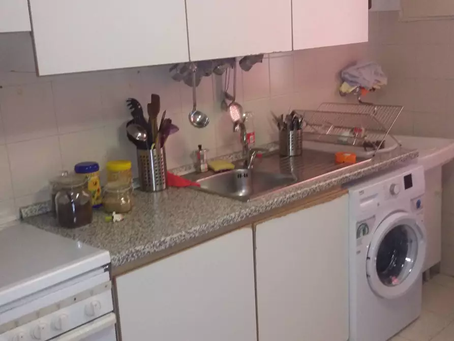 Immagine 8 di Camera in affitto  in Via Francesco Niosi a Pisa