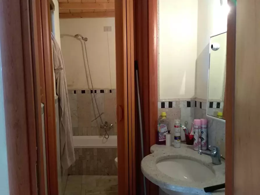 Immagine 12 di Appartamento in affitto  in Via Enrico Malatesta a Pisa