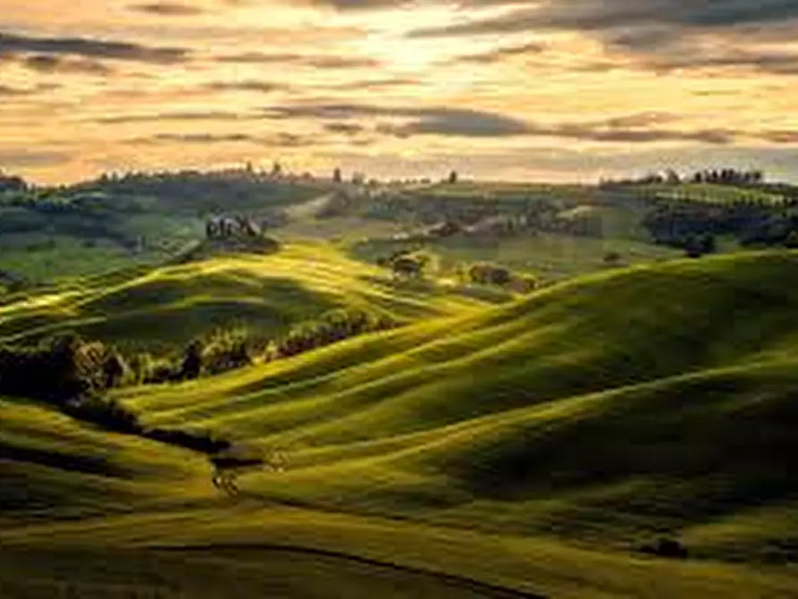 Immagine 3 di Terreno agricolo in affitto  in Strada Provinciale 31 Cucigliana Lorenzana a Fauglia