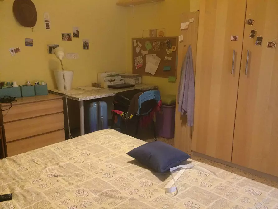 Immagine 4 di Camera in affitto  in Lungarno Mediceo a Pisa