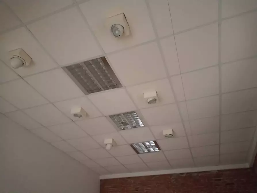 Immagine 2 di Attività commerciale in affitto  in Via Rossini a Pontedera