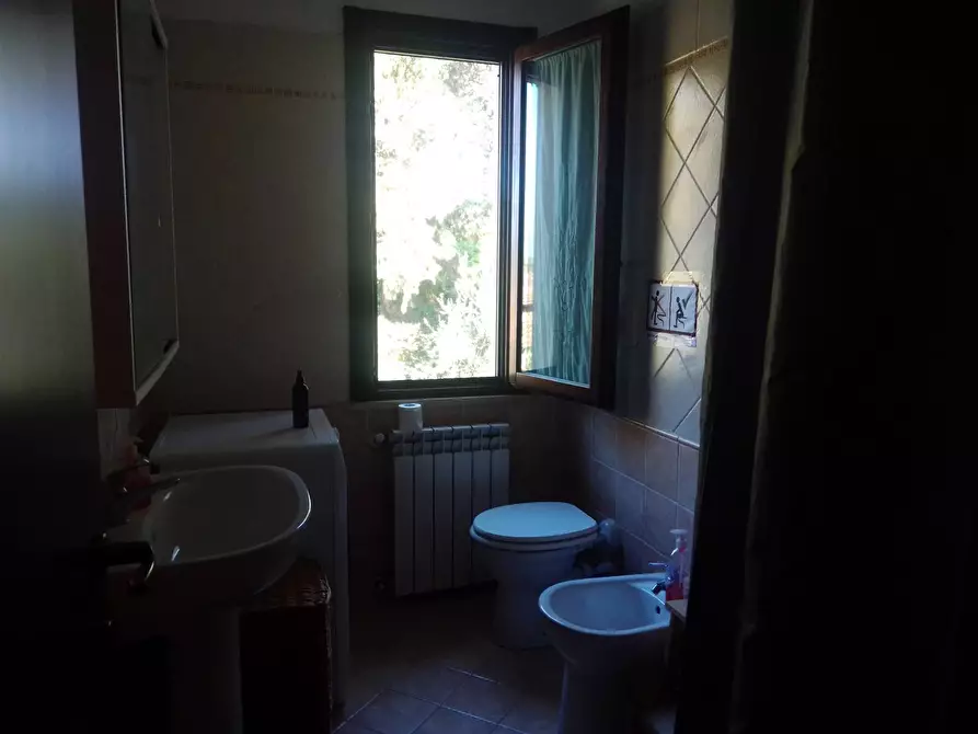 Immagine 12 di Appartamento in vendita  in via della chiesa a Peccioli