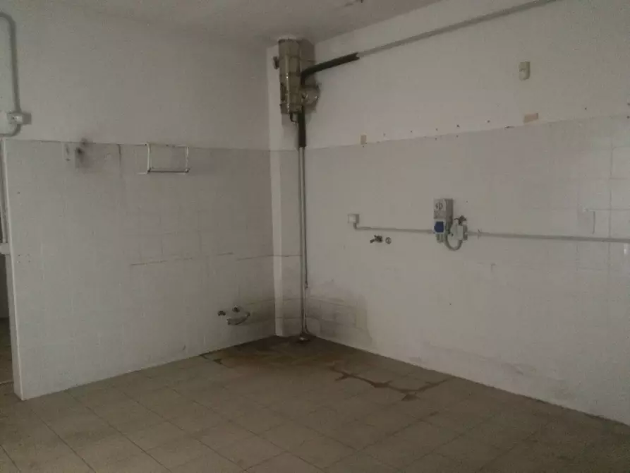 Immagine 3 di Attività commerciale in affitto  in via dei pardella a Vecchiano