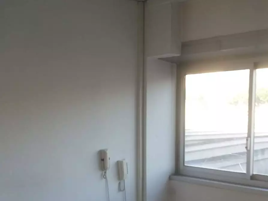 Immagine 12 di Ufficio in affitto  in Migliarina a Viareggio
