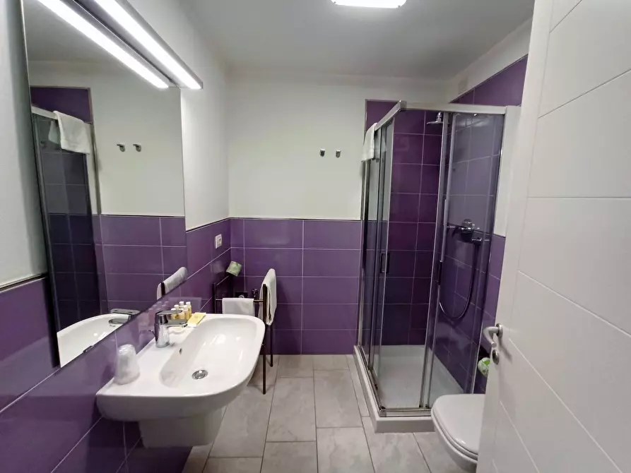 Immagine 5 di Appartamento in affitto  in Viale Del Tirreno a Pisa