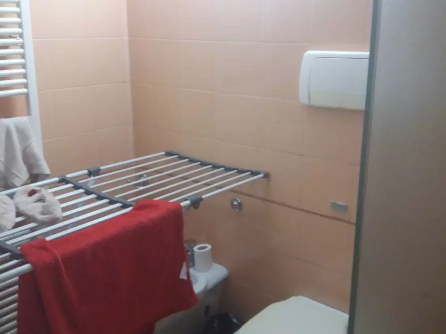 Immagine 15 di Appartamento in affitto  in via Regina Margherita a Viareggio