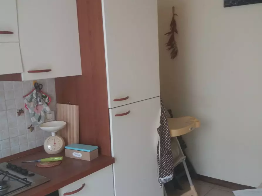 Immagine 3 di Appartamento in affitto  in via gaetano donizetti a Camaiore