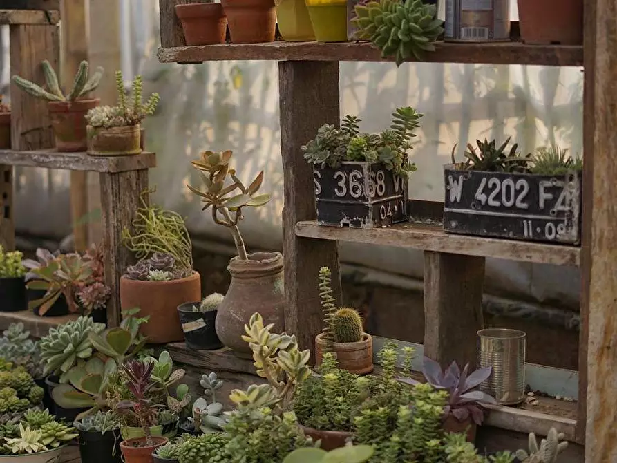 Immagine 10 di Attività commerciale in affitto  in Piazza anfiteatro a Lucca