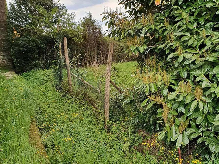 Immagine 19 di Appartamento in affitto  in Via per San Alessio a Lucca