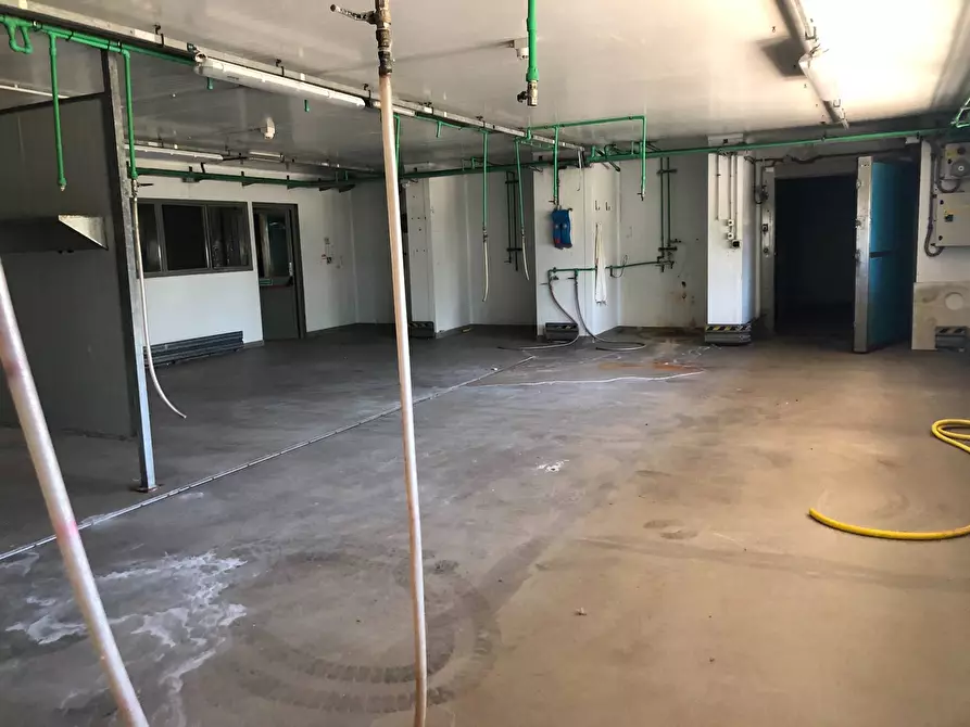 Immagine 5 di Attività commerciale in affitto  in Via giuseppe duccini a Massarosa