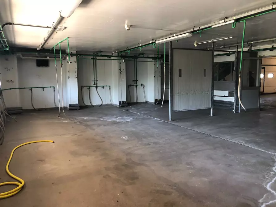 Immagine 6 di Attività commerciale in affitto  in Via giuseppe duccini a Massarosa