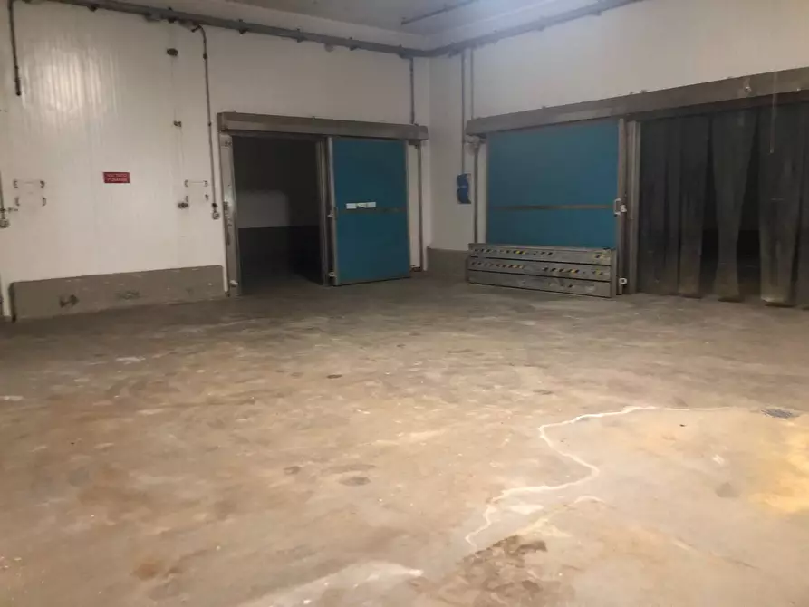 Immagine 12 di Attività commerciale in affitto  in Via giuseppe duccini a Massarosa