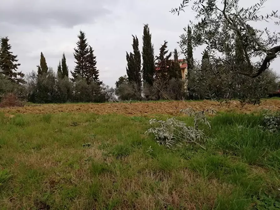 Immagine 1 di Terreno residenziale in vendita  in Il Romito a Pontedera