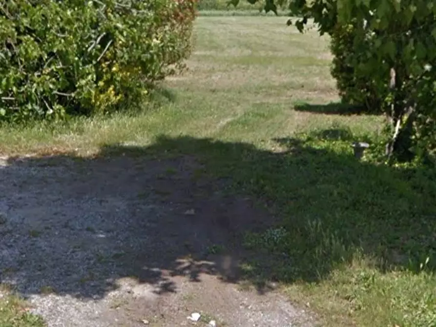 Immagine 9 di Terreno agricolo in vendita  in via dei Filaracci a Massarosa