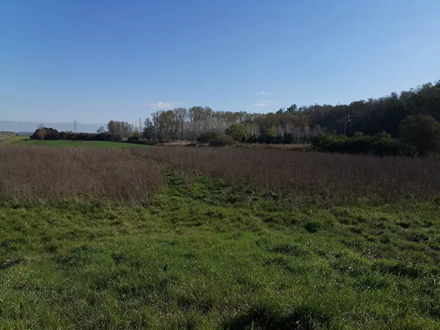 Immagine 2 di Terreno agricolo in vendita  in via Del Puntone a Bientina