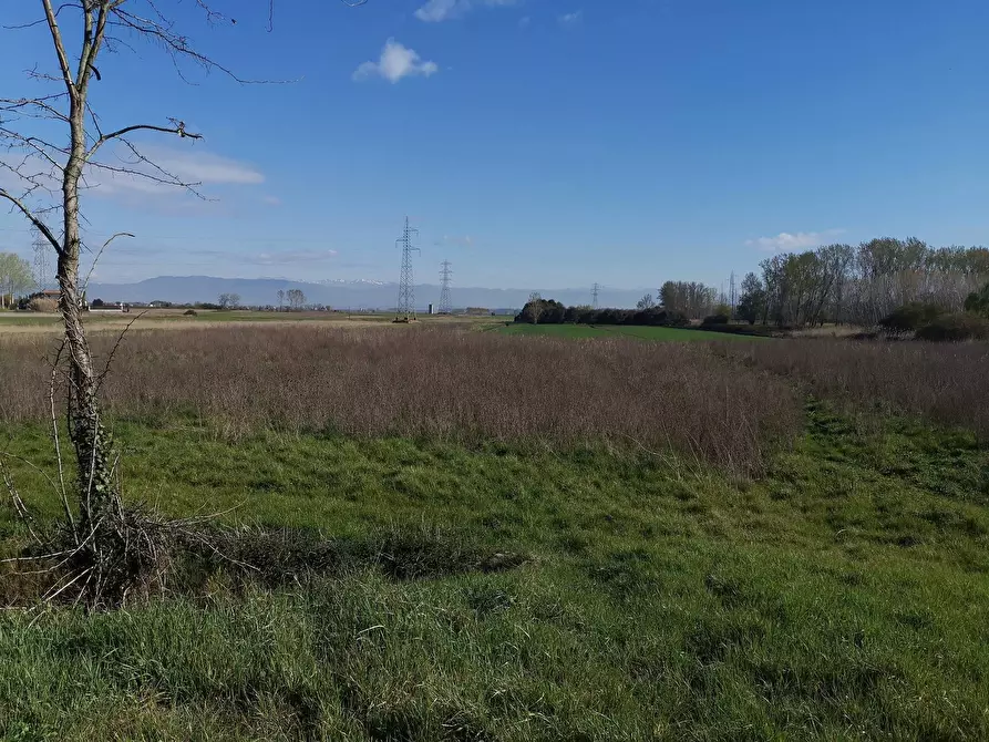 Immagine 3 di Terreno agricolo in vendita  in via Del Puntone a Bientina
