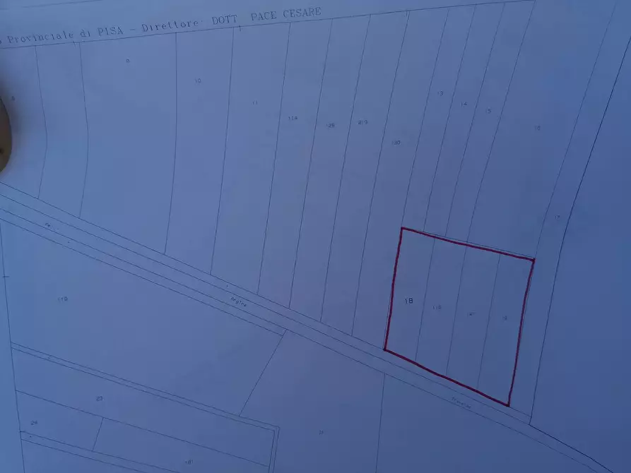 Immagine 7 di Terreno agricolo in vendita  in via Del Puntone a Bientina